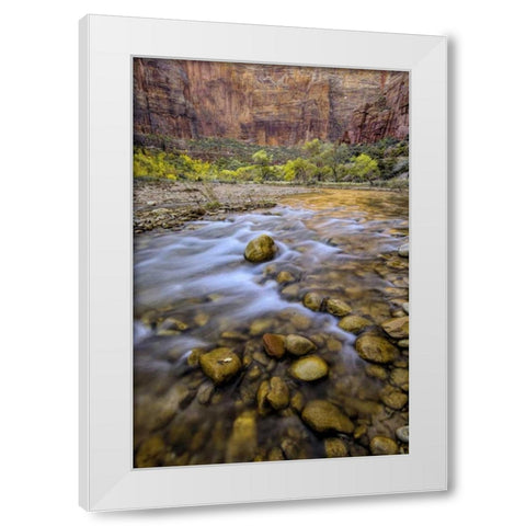 USA, Utah, Zion NP Stream in autumn scenic White Modern Wood Framed Art Print by OBrien, Jay