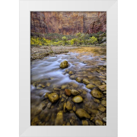 USA, Utah, Zion NP Stream in autumn scenic White Modern Wood Framed Art Print by OBrien, Jay