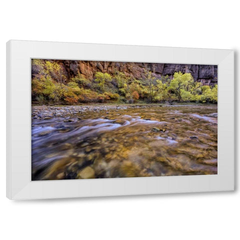 USA, Utah, Zion NP Stream in autumn scenic White Modern Wood Framed Art Print by OBrien, Jay