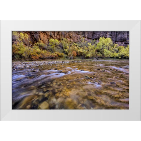 USA, Utah, Zion NP Stream in autumn scenic White Modern Wood Framed Art Print by OBrien, Jay