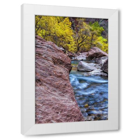 USA, Utah, Zion NP Stream in autumn landscape White Modern Wood Framed Art Print by OBrien, Jay