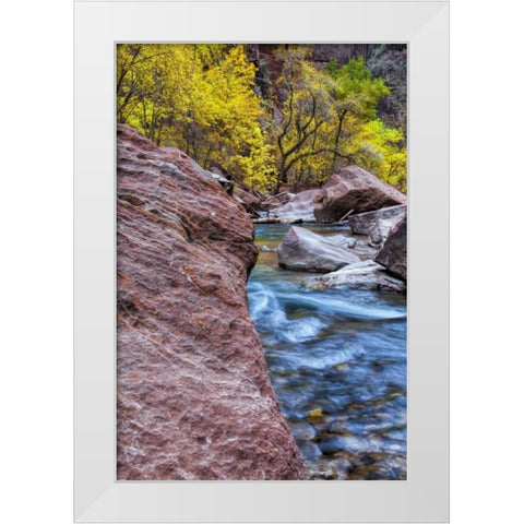 USA, Utah, Zion NP Stream in autumn landscape White Modern Wood Framed Art Print by OBrien, Jay