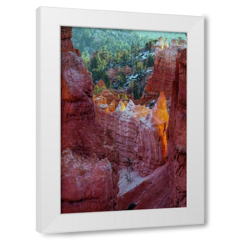 USA, Utah, Bryce Canyon NP Close-up of hoodoos White Modern Wood Framed Art Print by OBrien, Jay