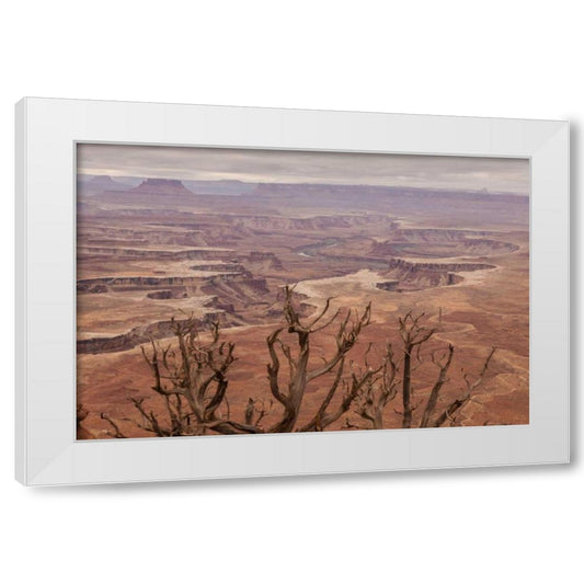 Perspective Image