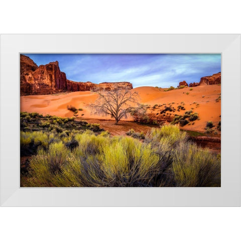 Utah-Monument Valley Landscape and dead tree  White Modern Wood Framed Art Print by Jaynes Gallery
