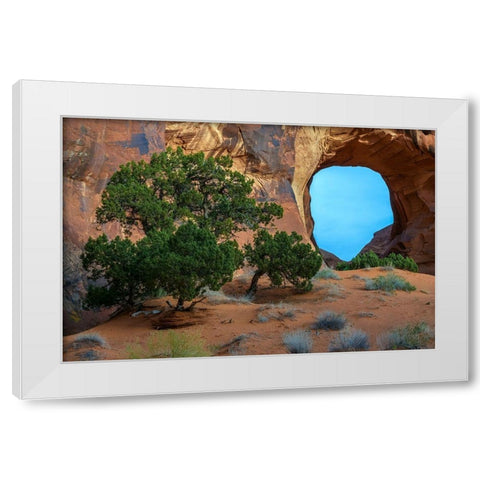 Utah-Monument Valley Landscape with sandstone formations and trees  White Modern Wood Framed Art Print by Jaynes Gallery