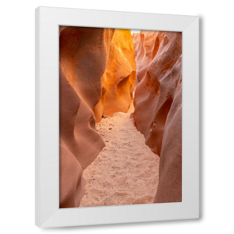 USA- Utah- Grand Staircase Escalante National Monument. Bighorn Canyon trail. White Modern Wood Framed Art Print by Jaynes Gallery