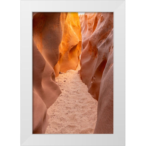 USA- Utah- Grand Staircase Escalante National Monument. Bighorn Canyon trail. White Modern Wood Framed Art Print by Jaynes Gallery