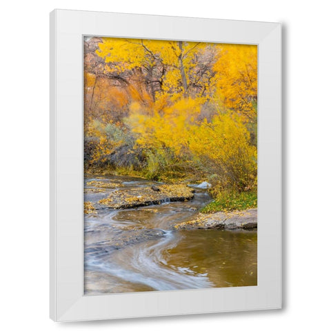 USA- Utah- Calf Creek Recreation Area in autumn. White Modern Wood Framed Art Print by Jaynes Gallery