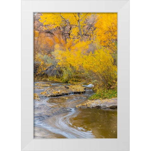 USA- Utah- Calf Creek Recreation Area in autumn. White Modern Wood Framed Art Print by Jaynes Gallery