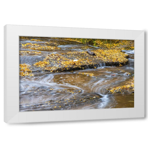 USA- Utah- Calf Creek Recreation Area in autumn. White Modern Wood Framed Art Print by Jaynes Gallery