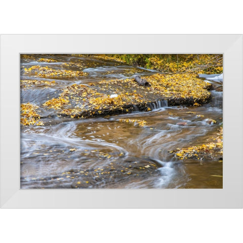 USA- Utah- Calf Creek Recreation Area in autumn. White Modern Wood Framed Art Print by Jaynes Gallery