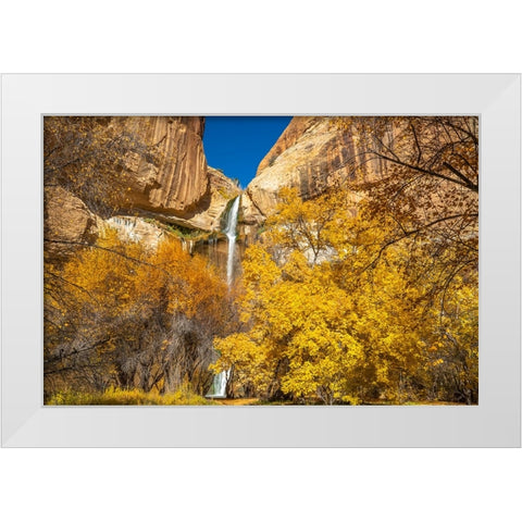 USA- Utah- Grand Staircase Escalante National Monument. Landscape with Lower Calf Creek Falls. White Modern Wood Framed Art Print by Jaynes Gallery