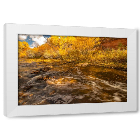 USA- Utah- Calf Creek Recreation Area in autumn. White Modern Wood Framed Art Print by Jaynes Gallery