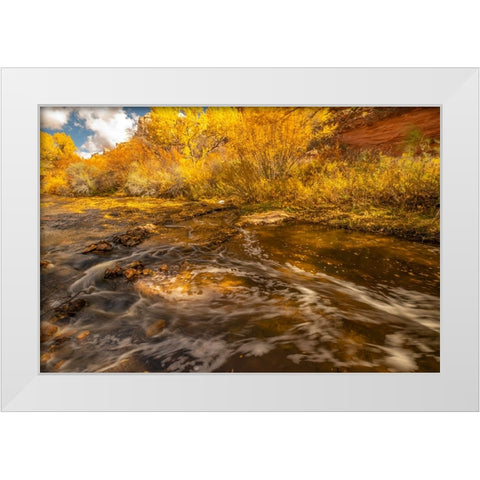 USA- Utah- Calf Creek Recreation Area in autumn. White Modern Wood Framed Art Print by Jaynes Gallery