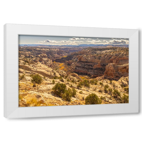 USA- Utah- Grand Staircase Escalante National Monument. Cliff and autumn cottonwood trees. White Modern Wood Framed Art Print by Jaynes Gallery