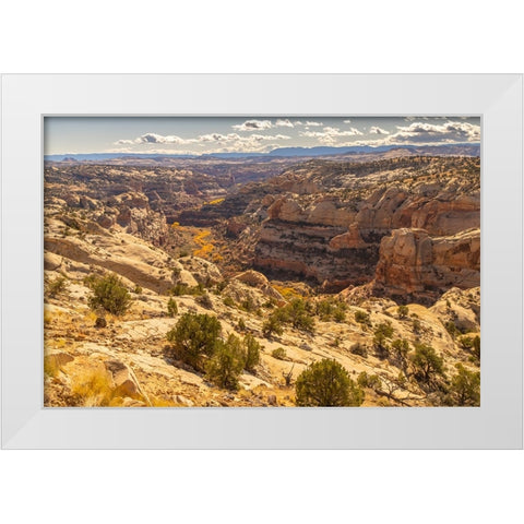 USA- Utah- Grand Staircase Escalante National Monument. Cliff and autumn cottonwood trees. White Modern Wood Framed Art Print by Jaynes Gallery
