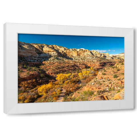 USA- Utah- Grand Staircase Escalante National Monument. Calf Creek Canyon White Modern Wood Framed Art Print by Jaynes Gallery