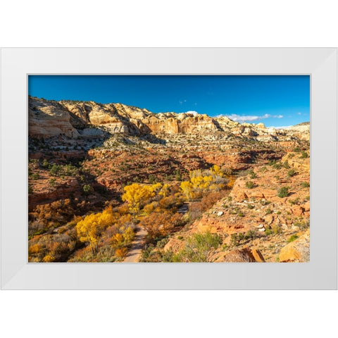 USA- Utah- Grand Staircase Escalante National Monument. Calf Creek Canyon White Modern Wood Framed Art Print by Jaynes Gallery