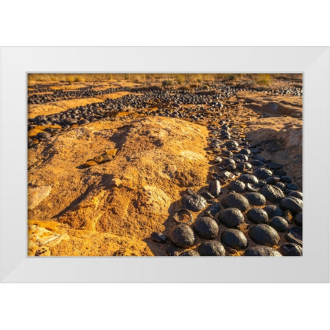 USA- Utah- Grand Staircase Escalante National Monument. Moqui marbles stones and rocks. White Modern Wood Framed Art Print by Jaynes Gallery