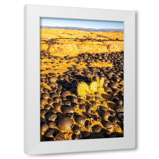 Perspective Image