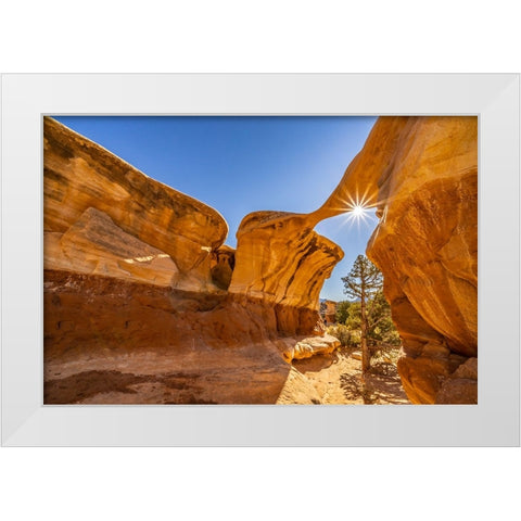 USA- Utah- Grand Staircase Escalante National Monument. Sunburst on eroded rock White Modern Wood Framed Art Print by Jaynes Gallery