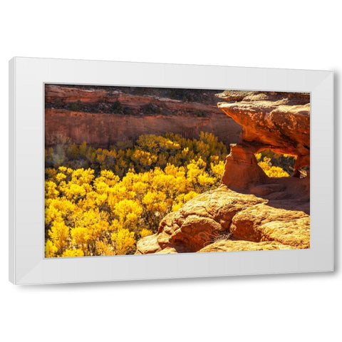 USA- Utah- Grand Staircase Escalante National Monument. Escalante River Basin rock formations. White Modern Wood Framed Art Print by Jaynes Gallery
