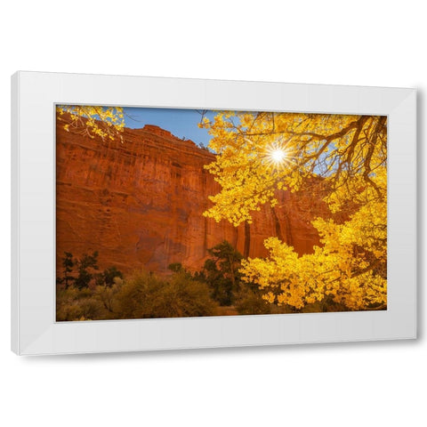 USA- Utah- Grand Staircase Escalante National Monument. Rock formations. and cottonwood trees. White Modern Wood Framed Art Print by Jaynes Gallery