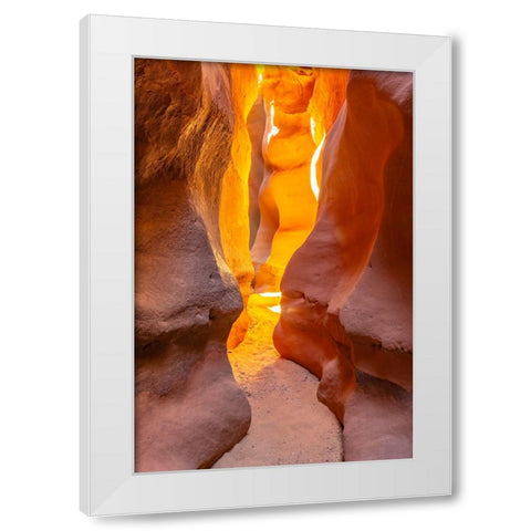 USA- Utah- Grand Staircase Escalante National Monument. Bighorn Canyon trail. White Modern Wood Framed Art Print by Jaynes Gallery