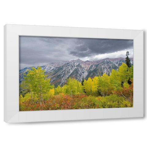 Fall Foliage in Little Cottonwood Canyon, Red Pine Trail, Wasatch-Cache National Forest, Utah. White Modern Wood Framed Art Print by Garber, Howie