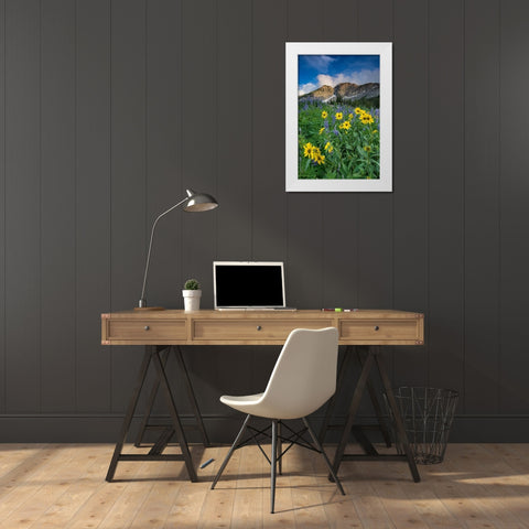 Arnica and lupine-Devils Castle-Albion Basin-Alta Ski Resort Wasatch Mountains White Modern Wood Framed Art Print by Garber, Howie