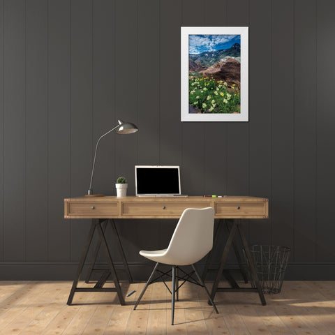 Cow parsnip-mules ear-and quartzite rock in Twin Peaks Wilderness White Modern Wood Framed Art Print by Garber, Howie
