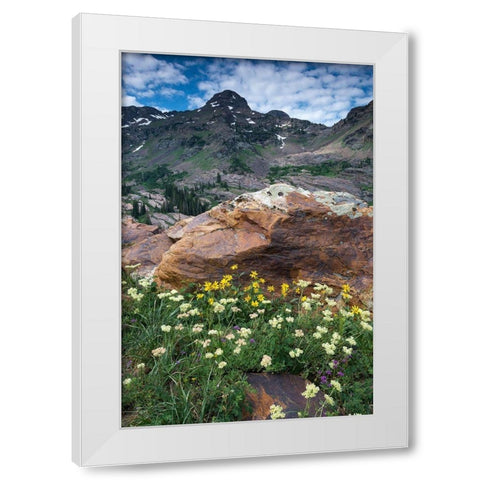 Wildflowers and Dromedary Peak-Twin Peaks Wilderness-Wasatch Mountains near Salt Lake City-Utah-USA White Modern Wood Framed Art Print by Garber, Howie