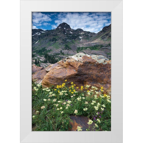 Wildflowers and Dromedary Peak-Twin Peaks Wilderness-Wasatch Mountains near Salt Lake City-Utah-USA White Modern Wood Framed Art Print by Garber, Howie