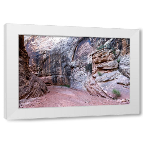 USA-Utah-Grand Wash-Capitol Reef National Park White Modern Wood Framed Art Print by Davidson, Janell