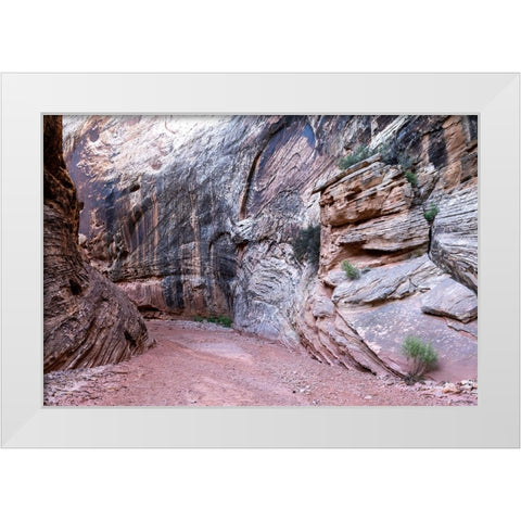 USA-Utah-Grand Wash-Capitol Reef National Park White Modern Wood Framed Art Print by Davidson, Janell