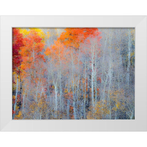 Utah-Logan Pass Autumn colors in Logan Pass Utah White Modern Wood Framed Art Print by Eggers, Julie