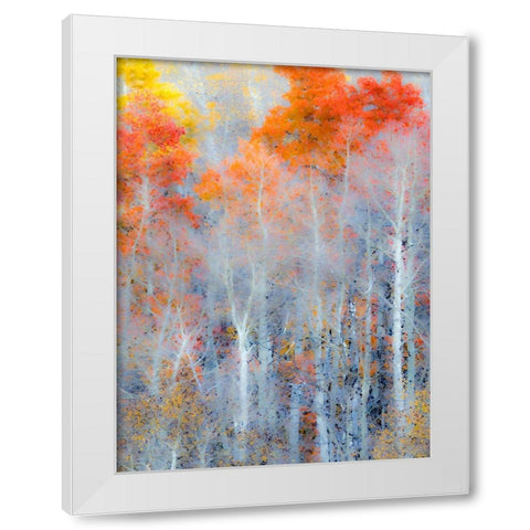 Utah-Logan Pass Autumn colors in Logan Pass Utah White Modern Wood Framed Art Print by Eggers, Julie