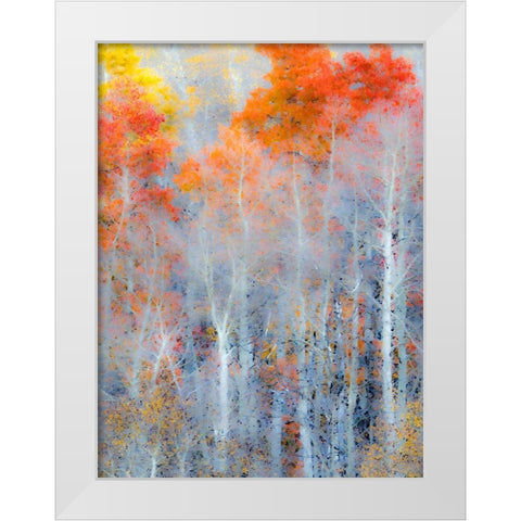 Utah-Logan Pass Autumn colors in Logan Pass Utah White Modern Wood Framed Art Print by Eggers, Julie