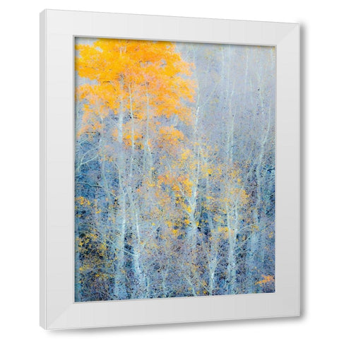 Utah-Logan Pass Autumn colors in Logan Pass Utah White Modern Wood Framed Art Print by Eggers, Julie