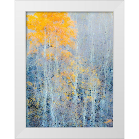 Utah-Logan Pass Autumn colors in Logan Pass Utah White Modern Wood Framed Art Print by Eggers, Julie
