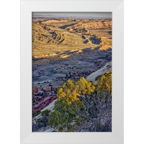 Strike Valley Outlook-Escalante-Utah White Modern Wood Framed Art Print by Ford, John