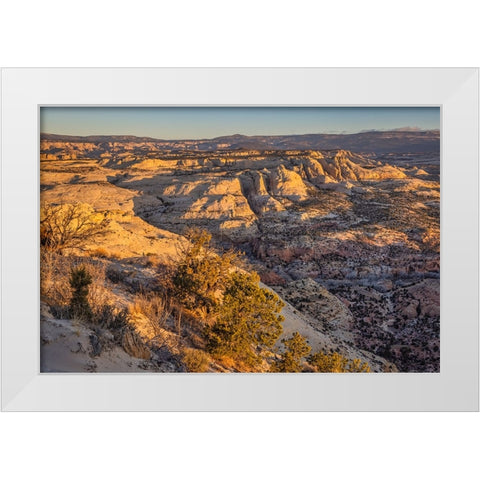Slickrock-Escalante-Utah White Modern Wood Framed Art Print by Ford, John