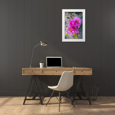 Utah Beavertail prickly pear cactus-Factory Butte-Upper Blue Hills White Modern Wood Framed Art Print by Zimmerman, Judith