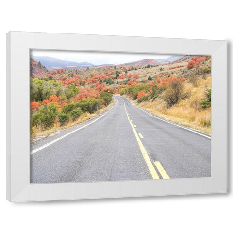 Utah Highway 39 heading west out of Wasatch Mountains with Autumn colors White Modern Wood Framed Art Print by Gulin, Sylvia