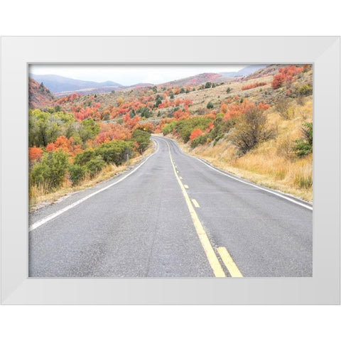 Utah Highway 39 heading west out of Wasatch Mountains with Autumn colors White Modern Wood Framed Art Print by Gulin, Sylvia