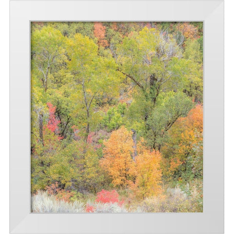 Utah Highway 39 heading west out of Wasatch Mountains with Autumn colors White Modern Wood Framed Art Print by Gulin, Sylvia