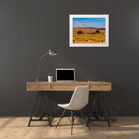 USA-Utah-old wooden barn and shed along highway 39 west of Woodruff White Modern Wood Framed Art Print by Gulin, Sylvia