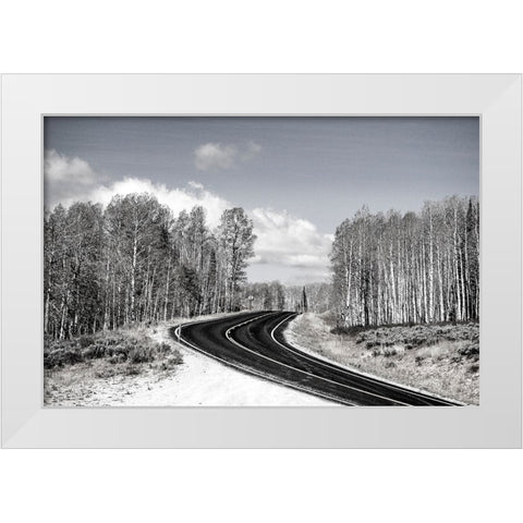 USA-Utah-west of Woodruff aspen trees along highway 39 White Modern Wood Framed Art Print by Gulin, Sylvia