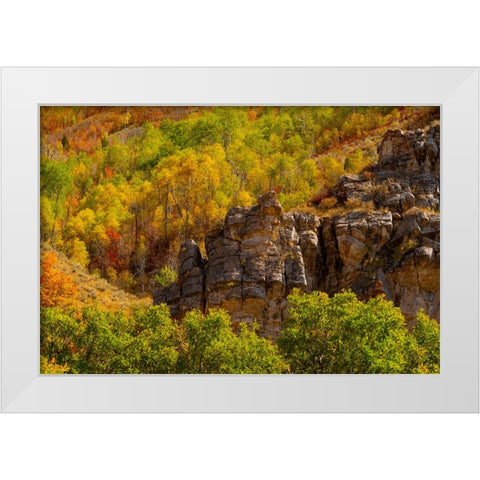 USA-Utah-Highway 89 and canyon walls of Logan pass with fall colors White Modern Wood Framed Art Print by Gulin, Sylvia